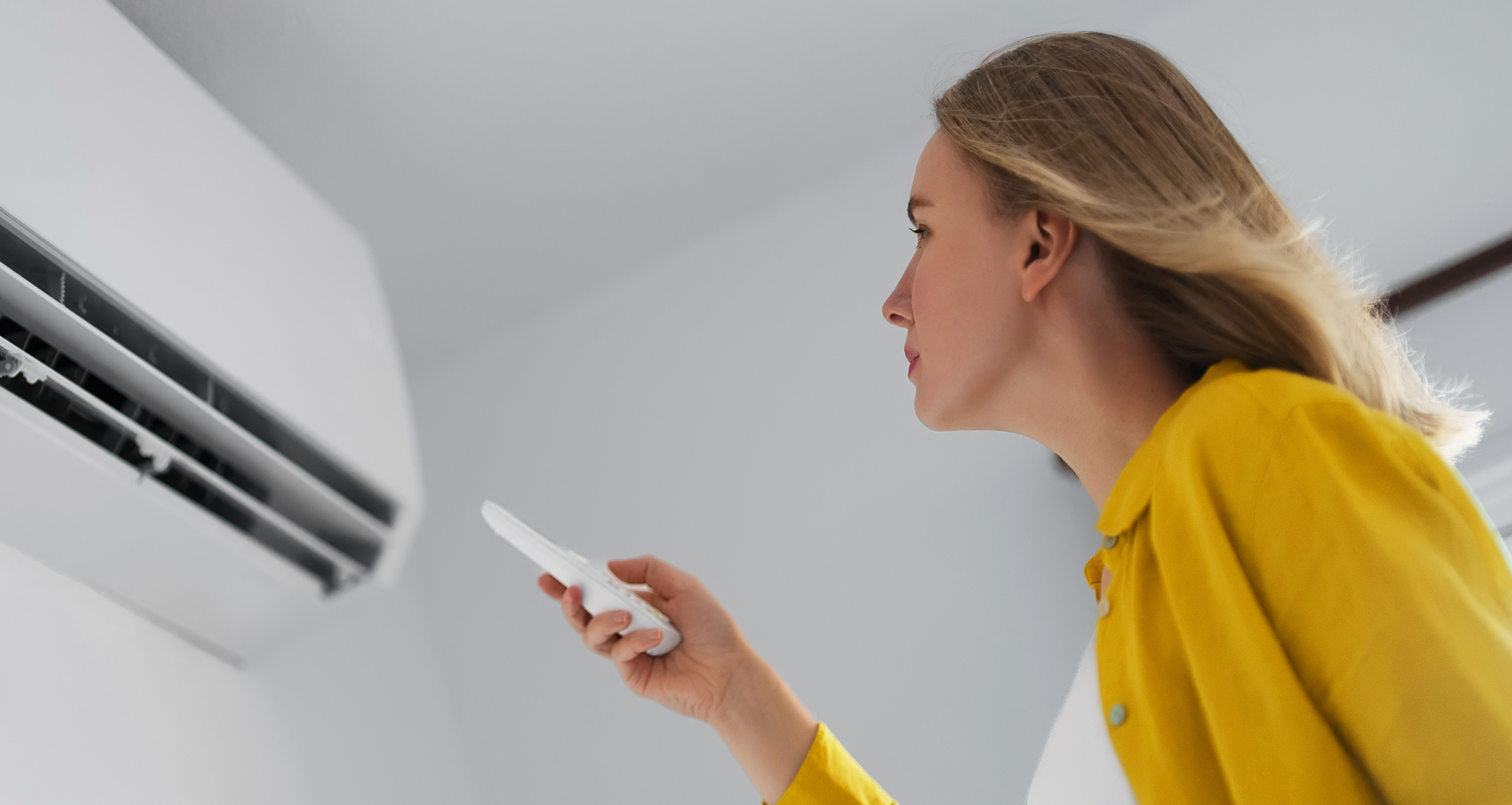 Deumidificatore vs Condizionatore: quale scegliere per la tua stanza? 1